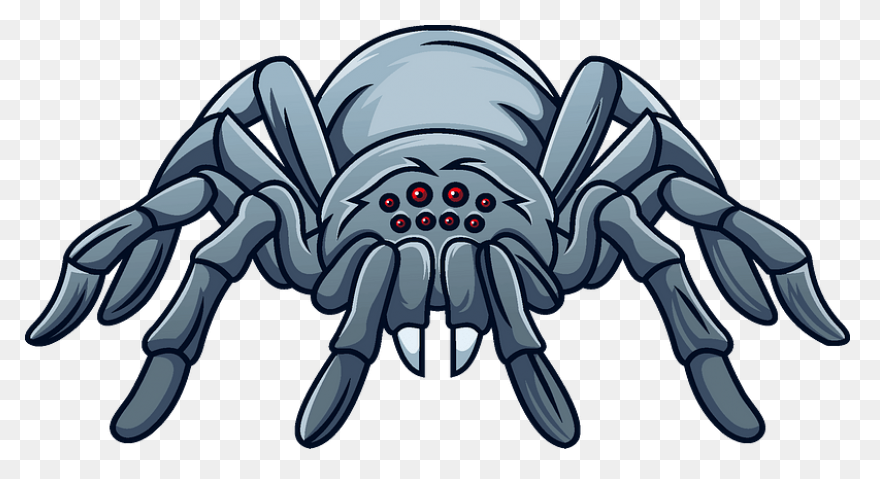 Brown Spider Clipart By Johnny Auto