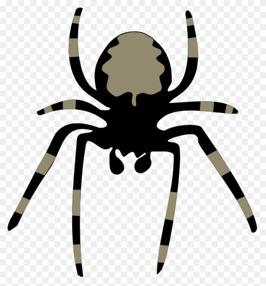 Brown Spider Clipart By Johnny Auto