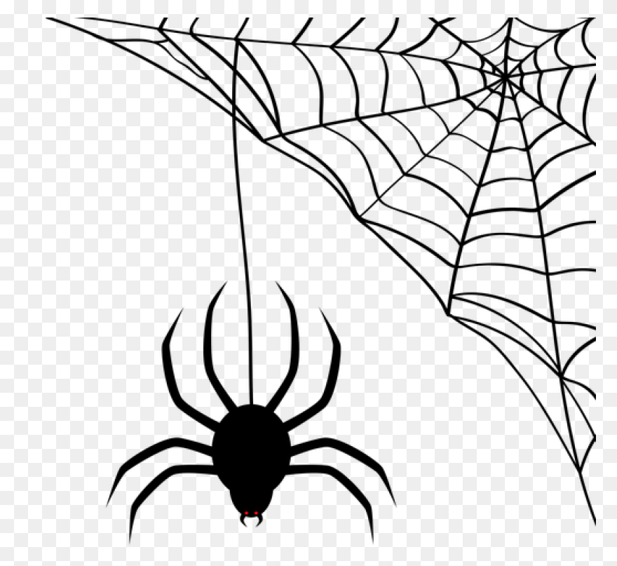 Free Spider Web Images Free, Downlo