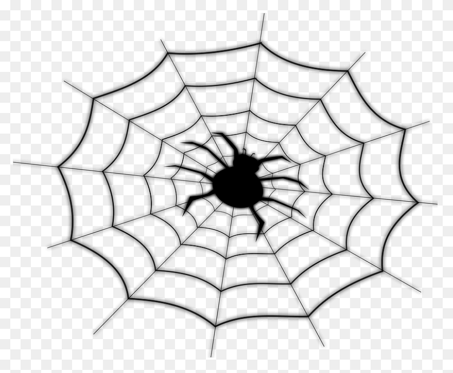 Free Spider Web Images Free, Downlo
