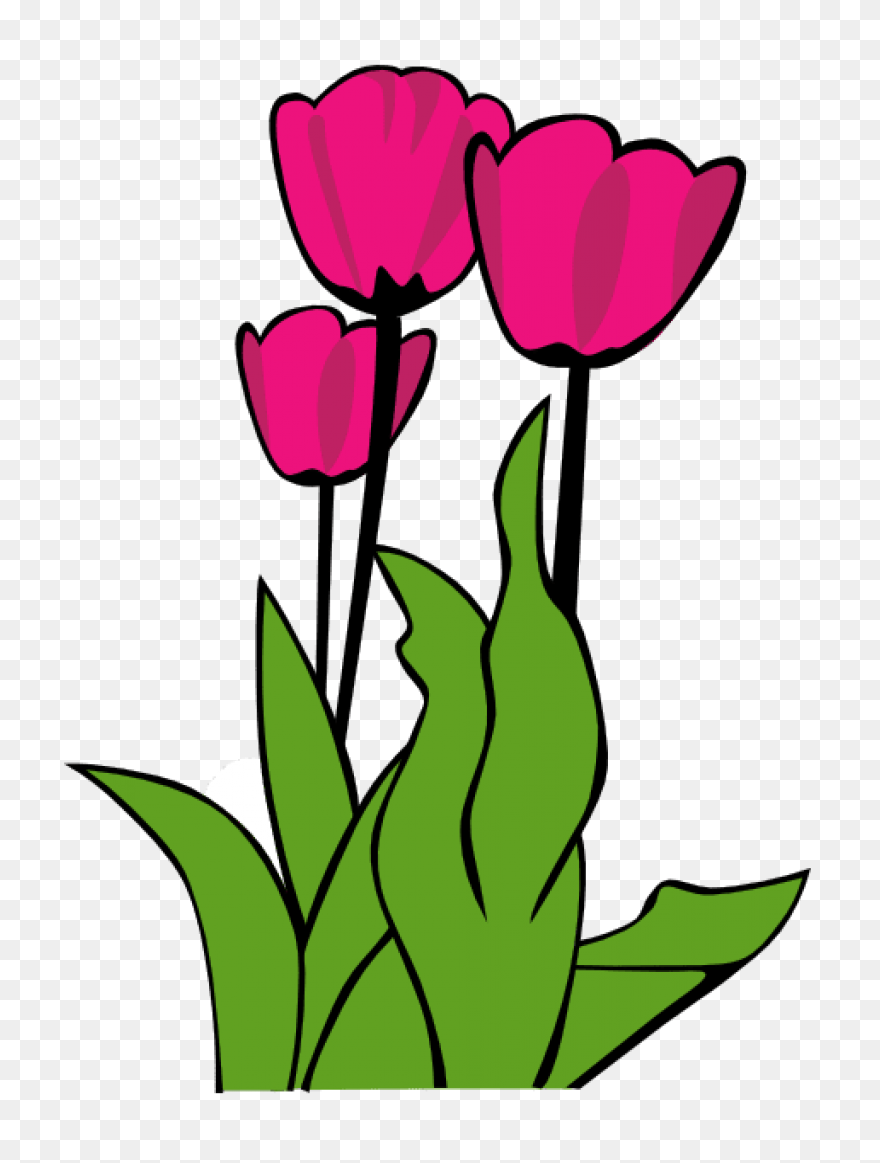 Spring Clipart - Spring Flower Pict