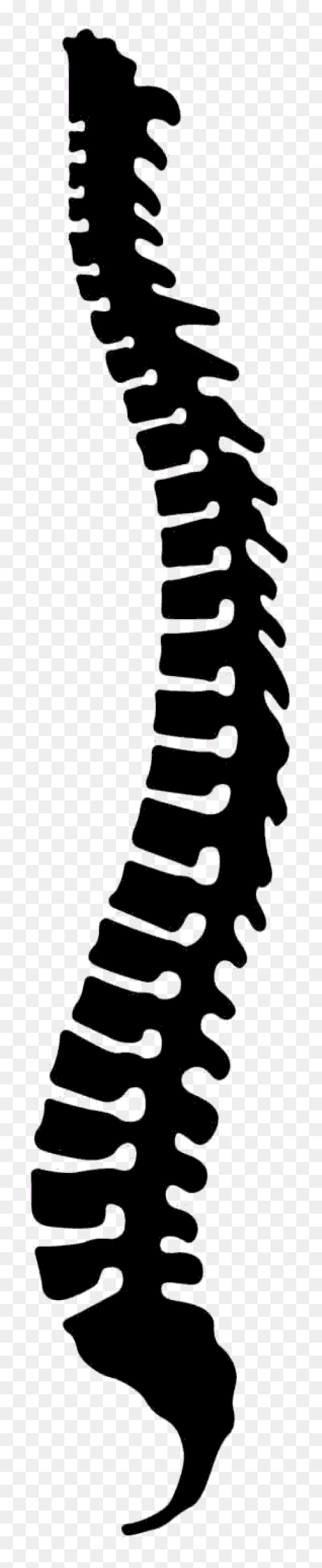 Omaha Spine Specialists & Surge