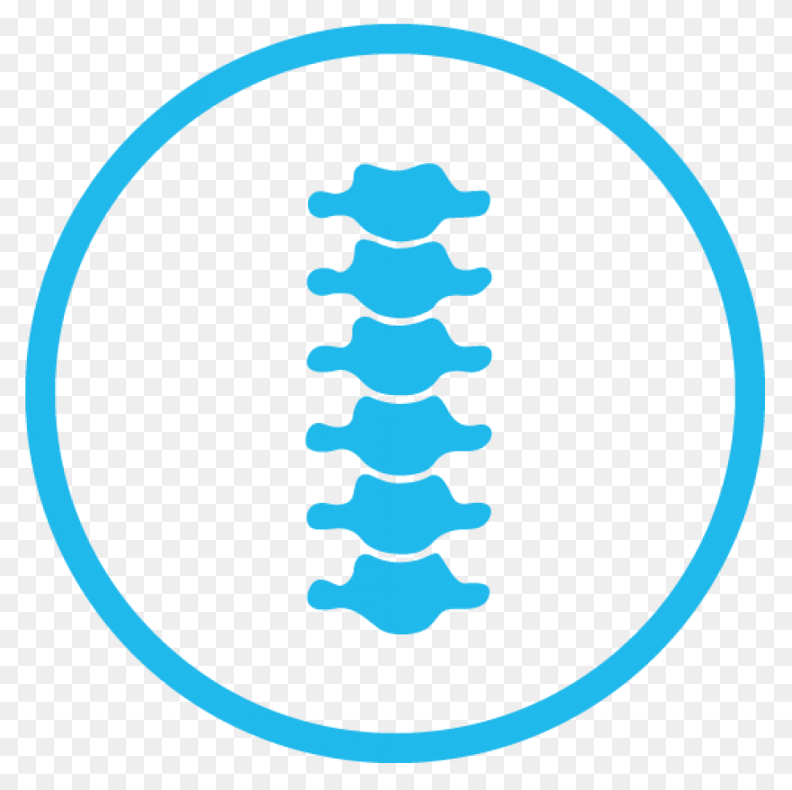 Spine Png Clipart Full Size - Spine