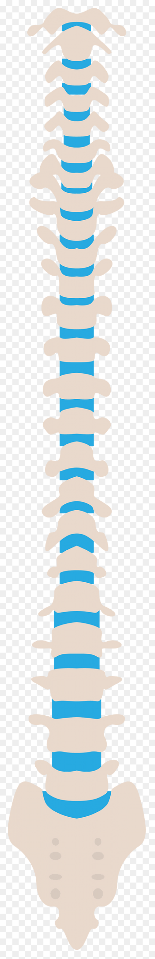 Omaha Spine Specialists & Surge