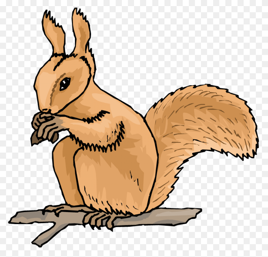 Cute Squirrel | Public Domain Vecto