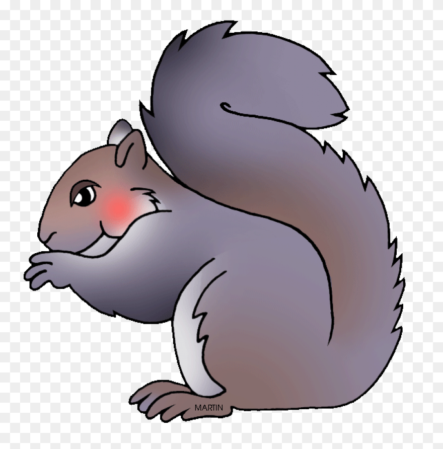 Cute Squirrel | Public Domain Vecto