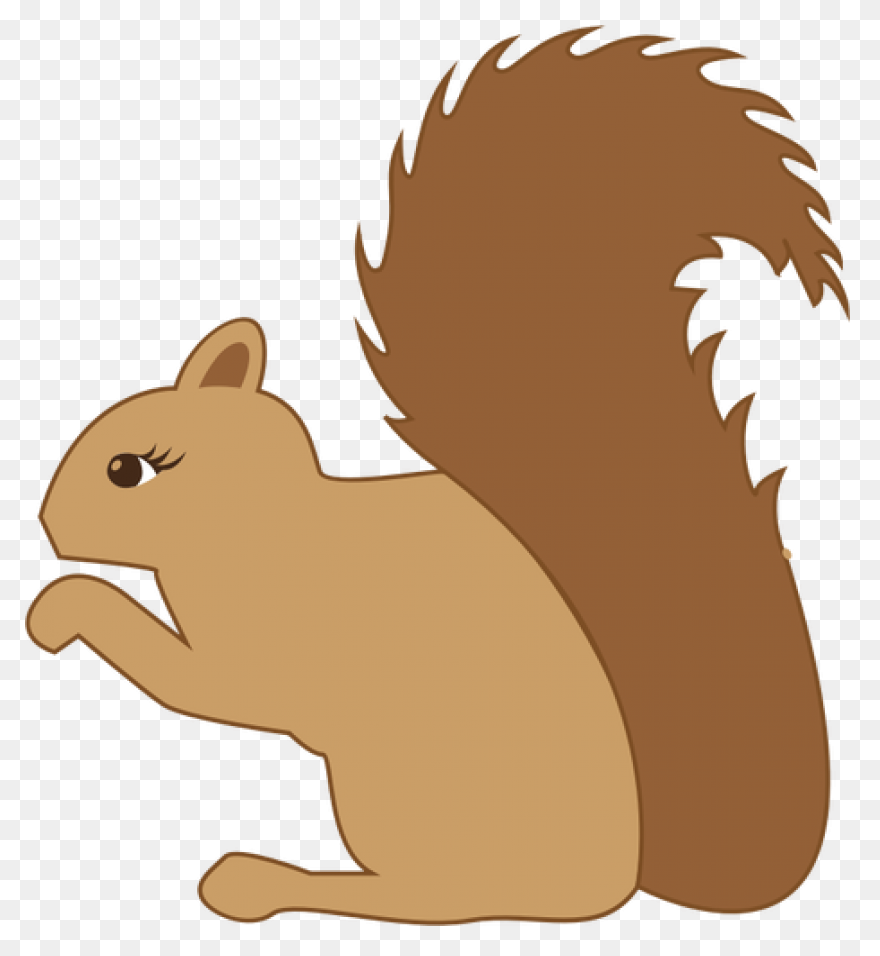 Cute Squirrel | Public Domain - Squirrel
