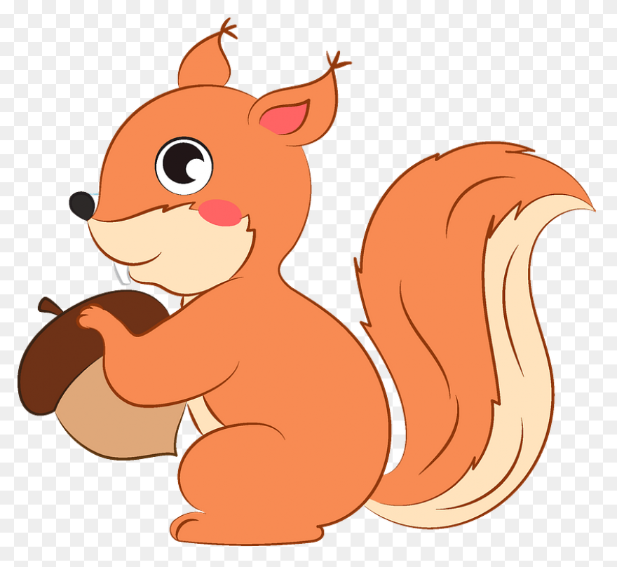 Cute Squirrel | Public Domain Vecto