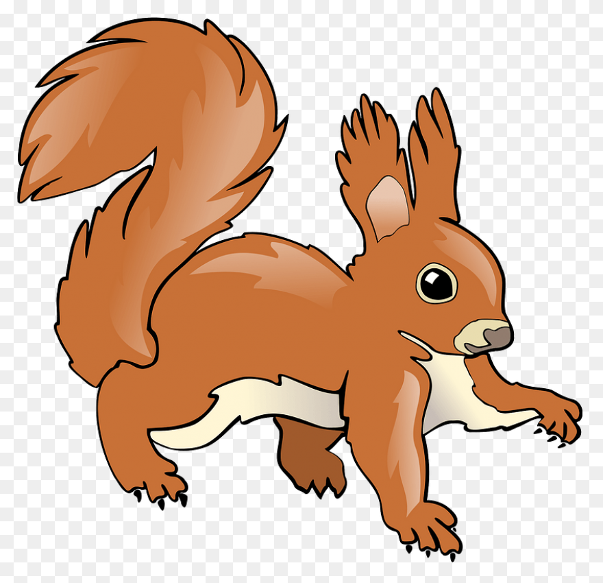 Cute Squirrel | Public Domain Vecto