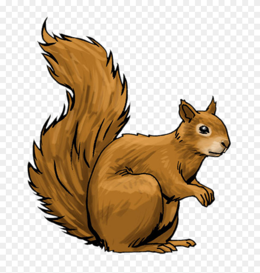 Cute Squirrel | Public Domain Vecto