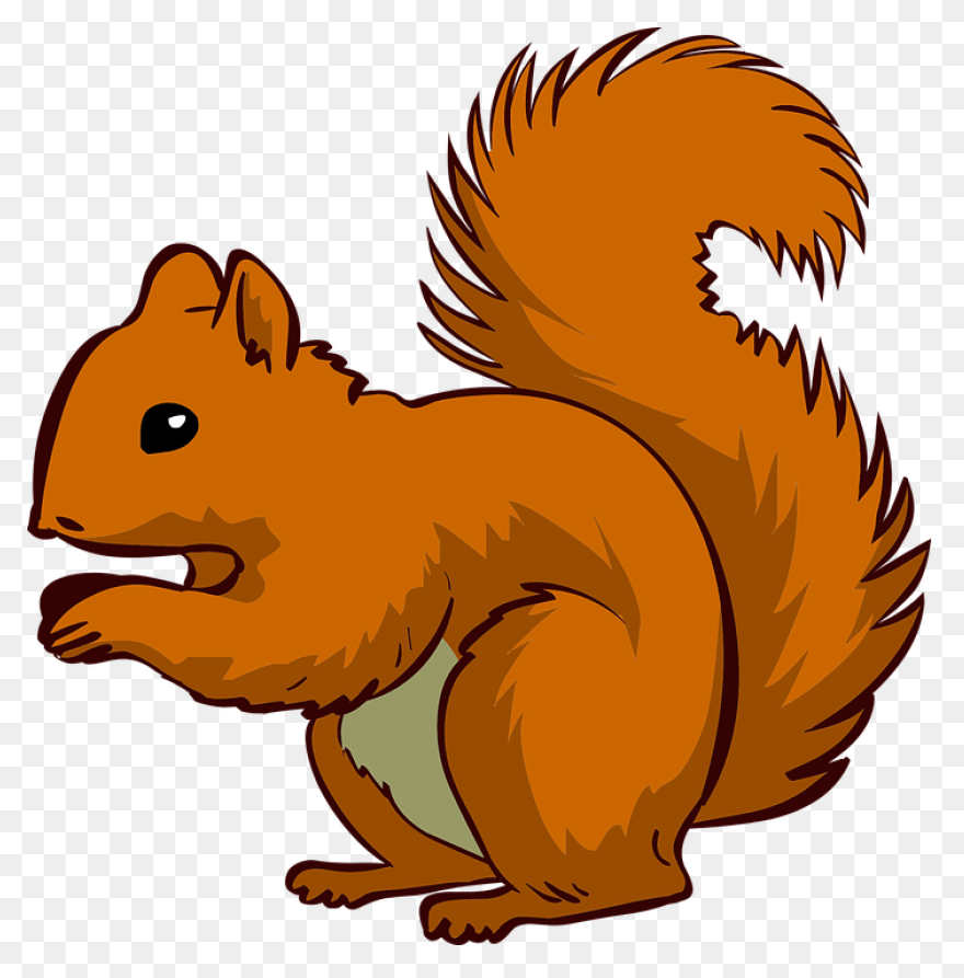 Cute Squirrel | Public Domain Vecto