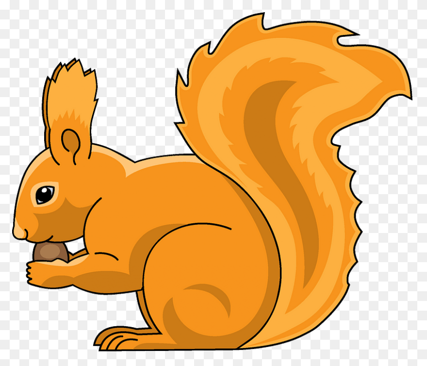 Cute Squirrel | Public Domain Vecto