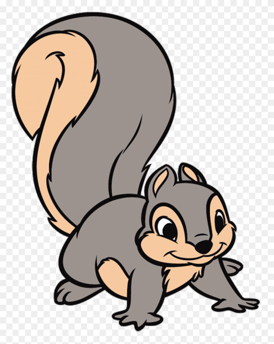 Cute Squirrel | Public Domain Vecto