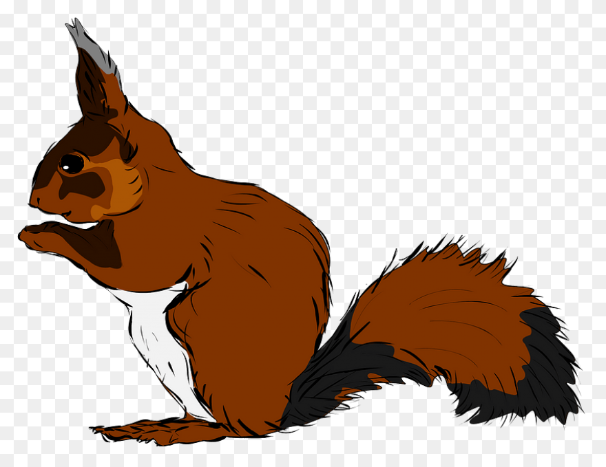 Cute Squirrel | Public Domain Vecto