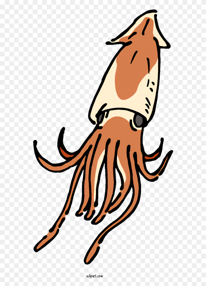 Animals Atlantic Giant Squid Red - Squid