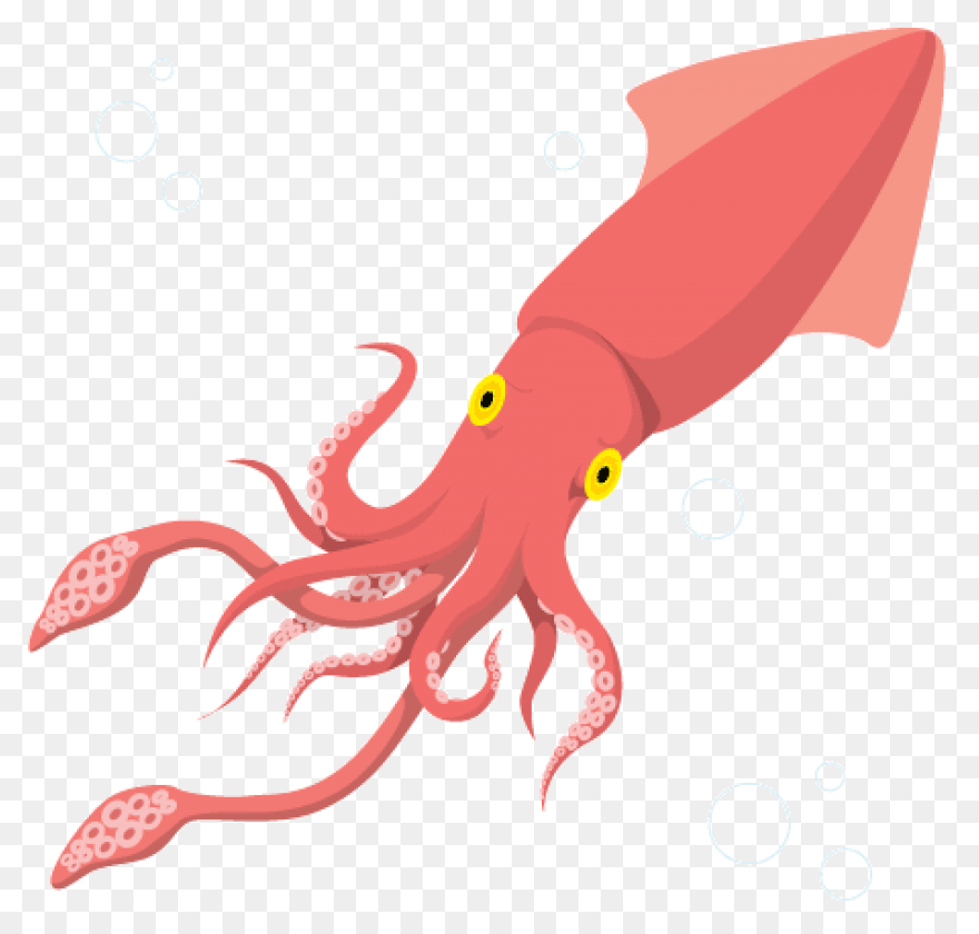 Animals Atlantic Giant Squid Red Fo