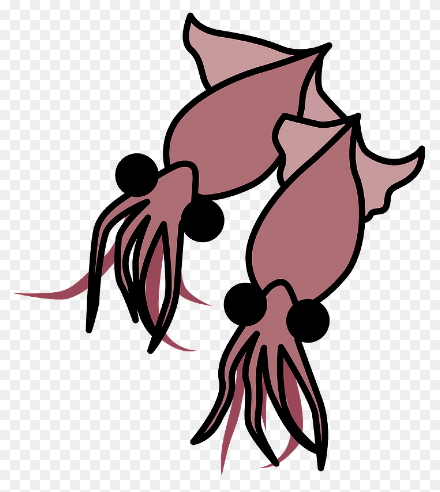 Firefly Squid Clipart. Free Download - Squid