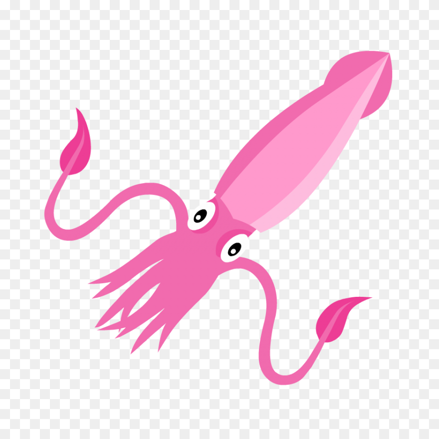 Animals Atlantic Giant Squid Red Fo
