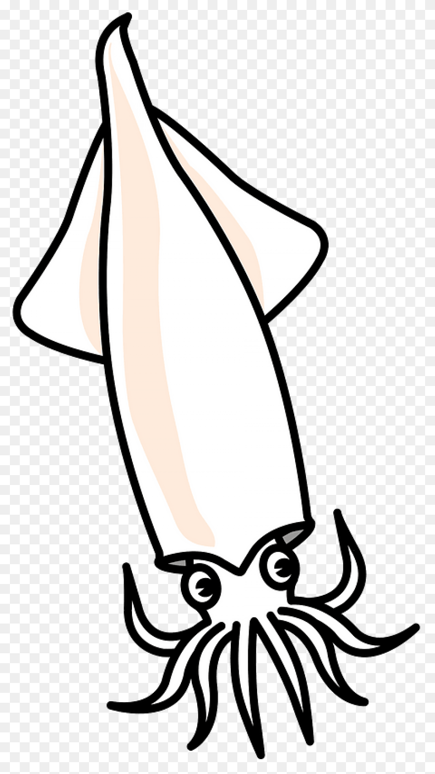 Squid Clipart. Free Download .png - Squid