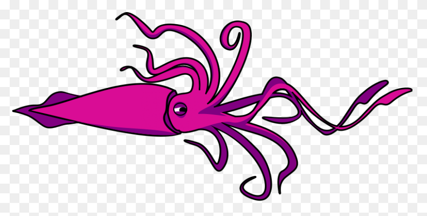 Animals Atlantic Giant Squid Red Fo