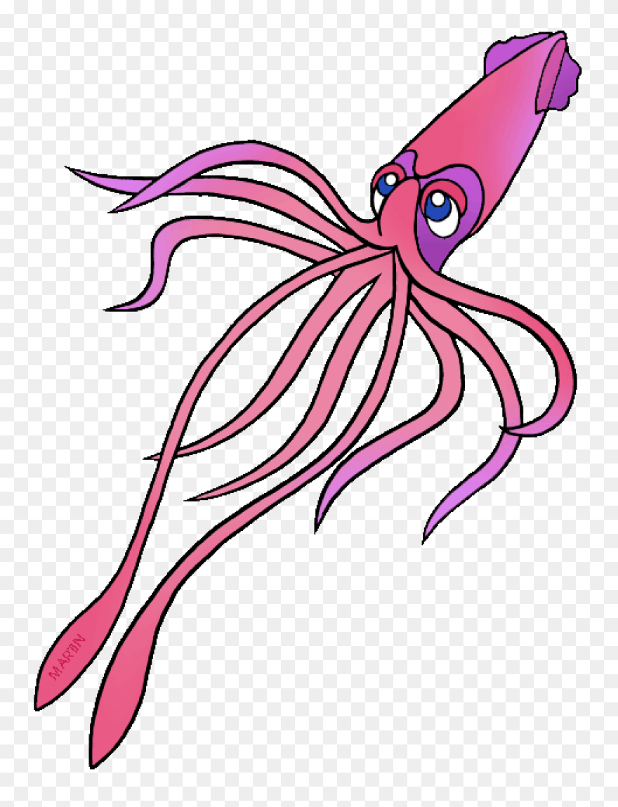 Animals Atlantic Giant Squid Red Fo