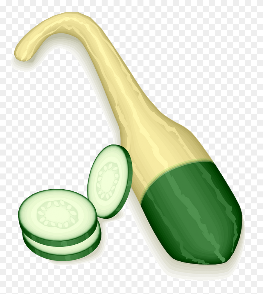 Gourd Squash Clipart. Free Download - Squash