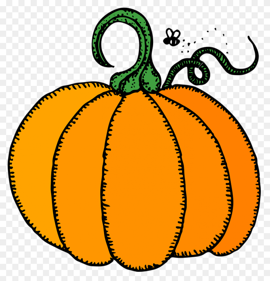 Sweet & Savory Winter Squash �