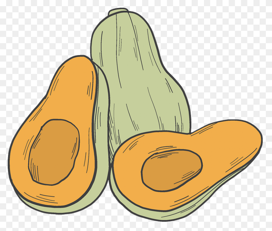 Pumpkins Clipart Butternut Squash Png - Squash