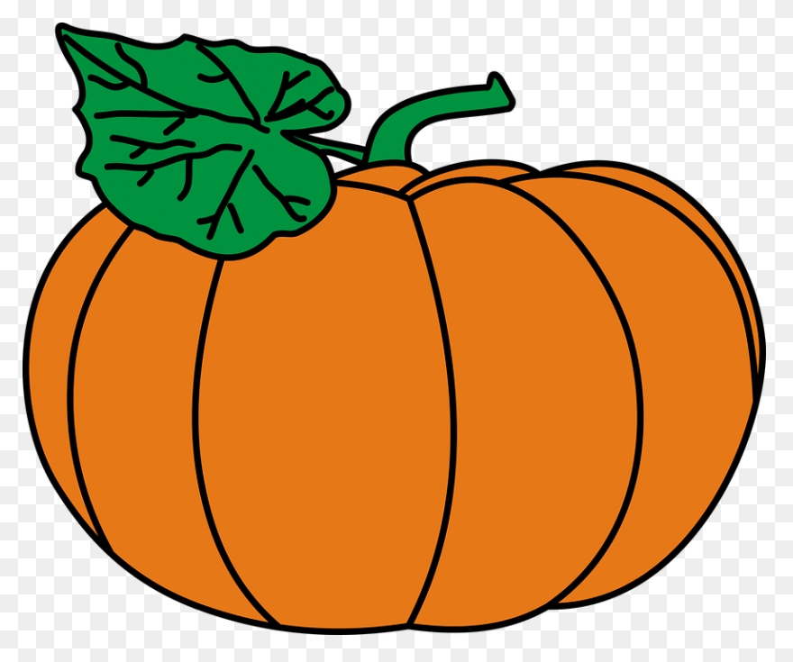 Sweet & Savory Winter Squash �