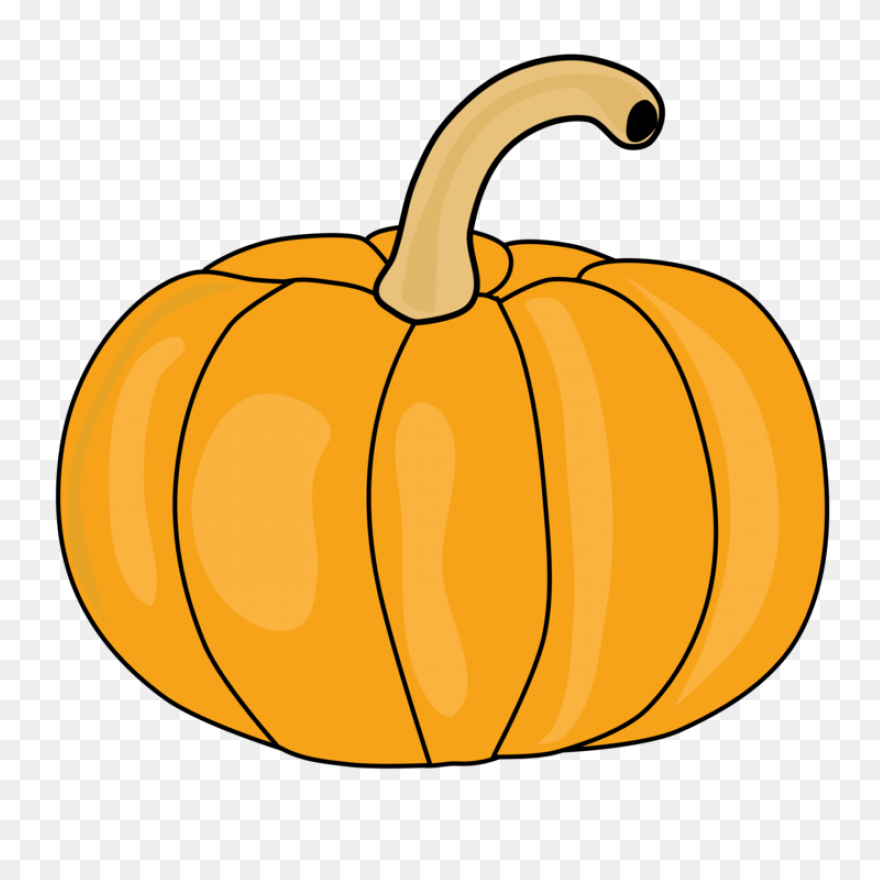 Sweet & Savory Winter Squash �