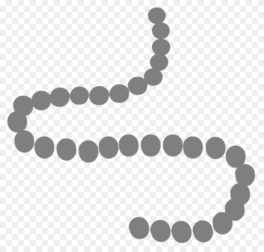 Pearl String Png