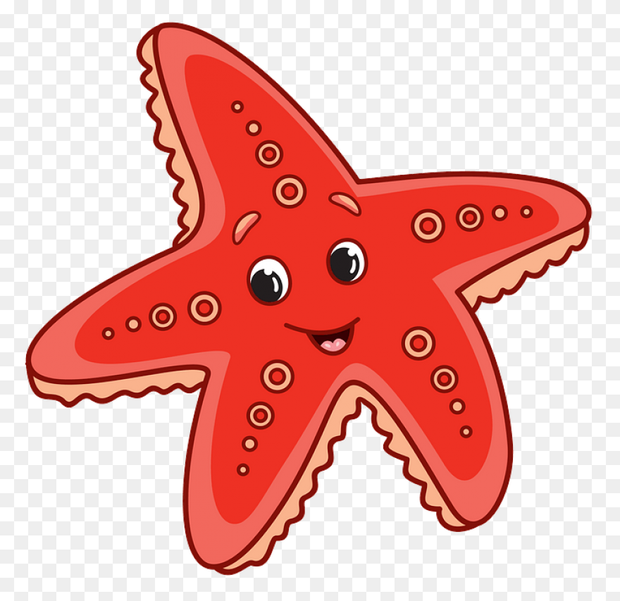 Ocean Starfish Cartoon Line Clipart