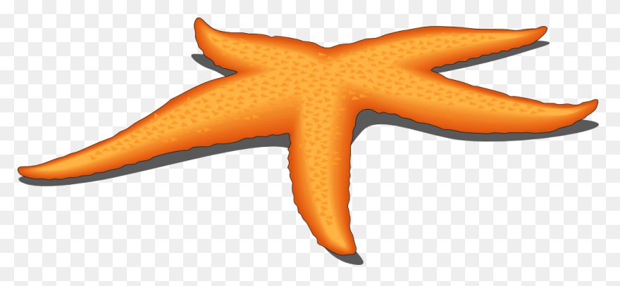 Ocean Starfish Cartoon Line Clipart