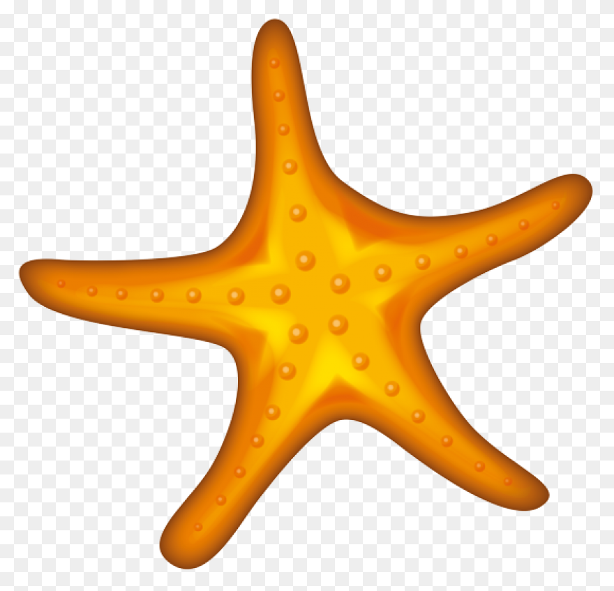 Ocean Starfish Cartoon Line Clipart