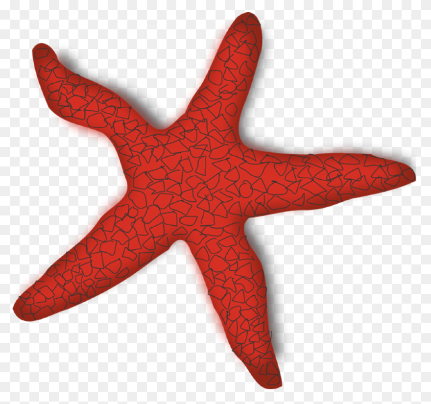 Ocean Starfish Cartoon Line Clipart