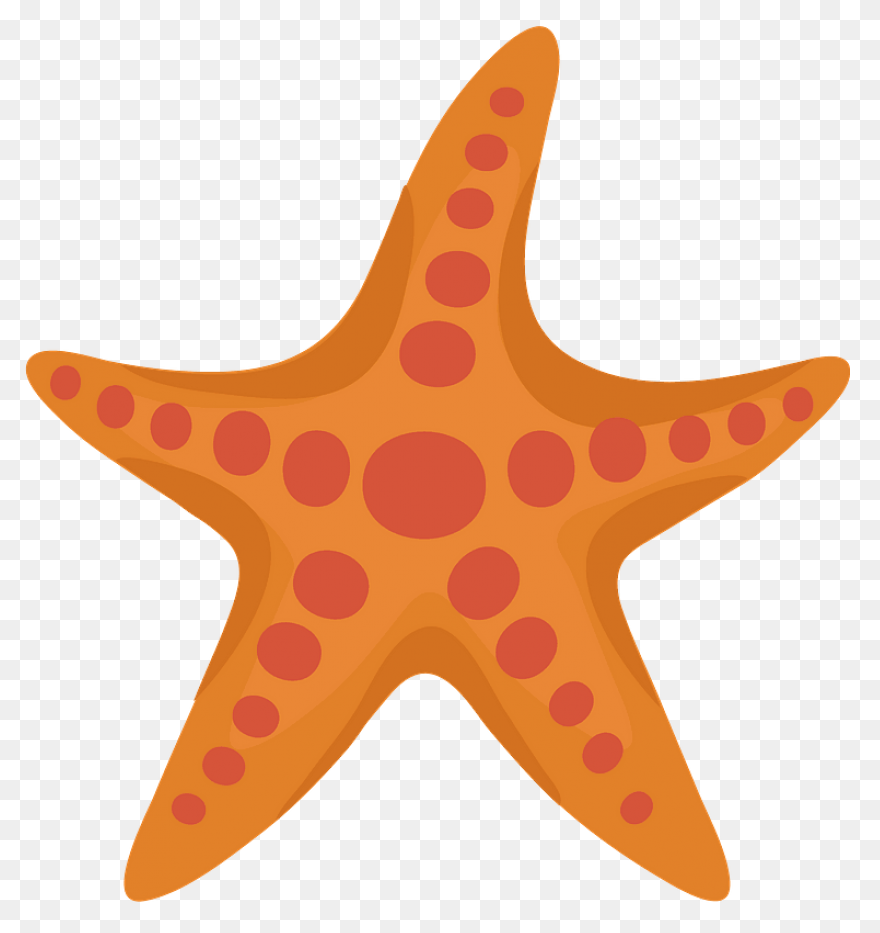 Ocean Starfish Cartoon Line Clipart