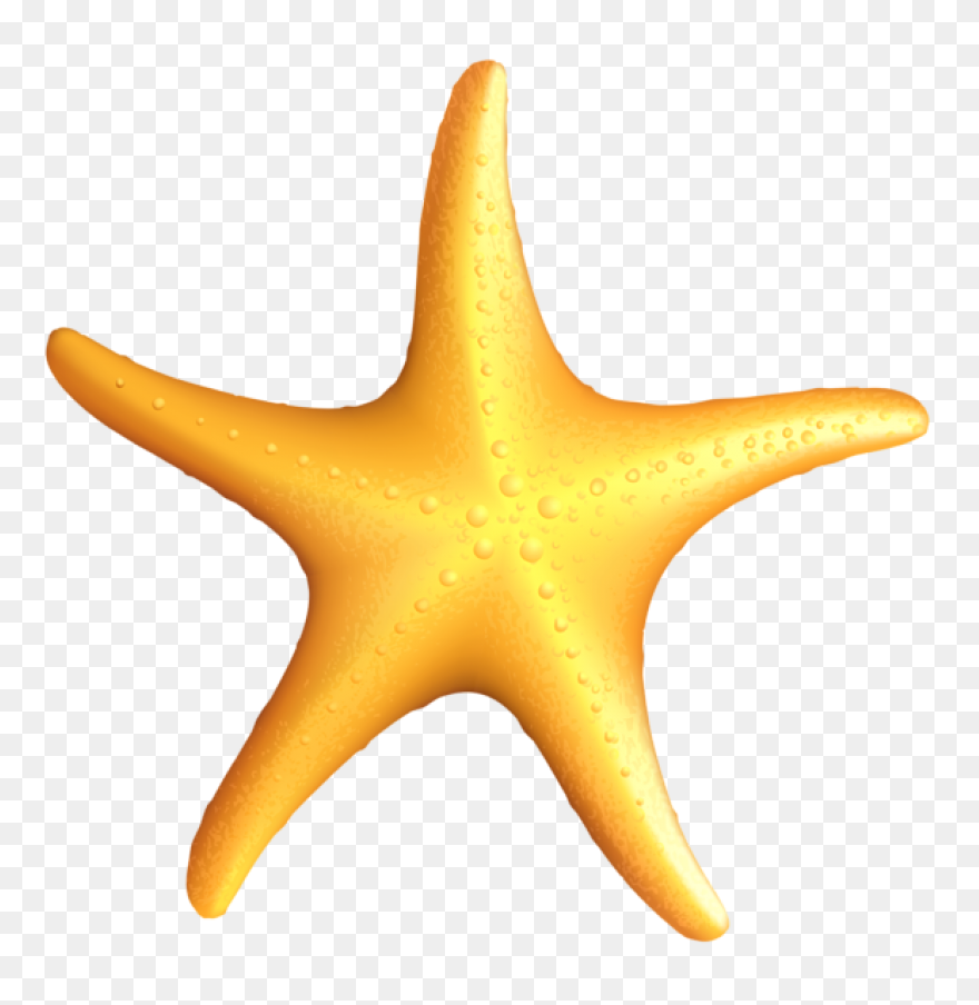 Ocean Starfish Cartoon Line Clipart