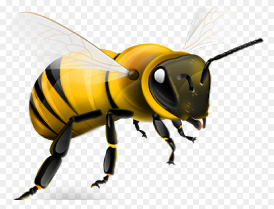 Clipart Free Stock Hornet Clipart W