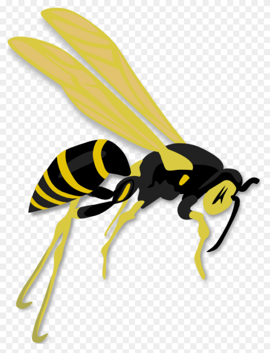 Clipart Free Stock Hornet Clipart W