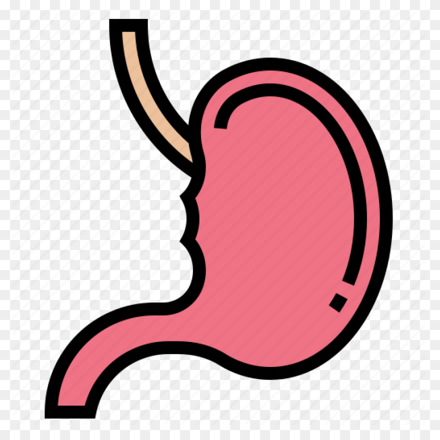 Stomach - Mind The Graph