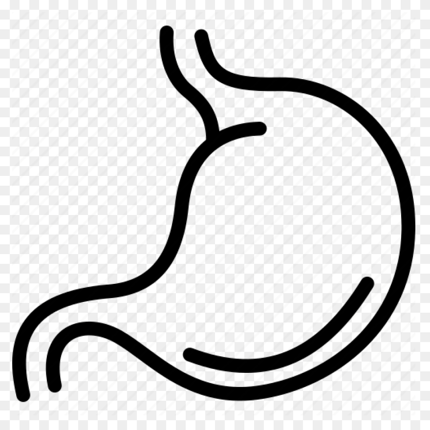 Stomach - Mind The Graph