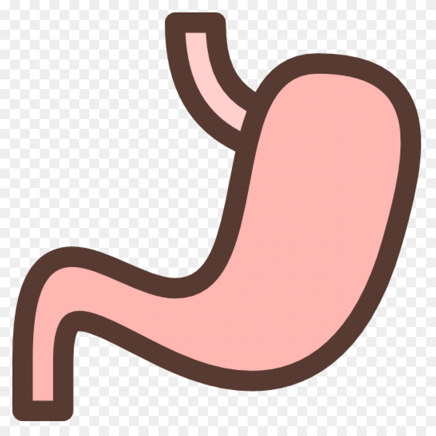 Stomach - Mind The Graph