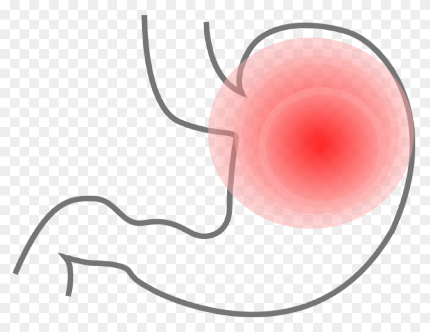 Stomach - Mind The Graph