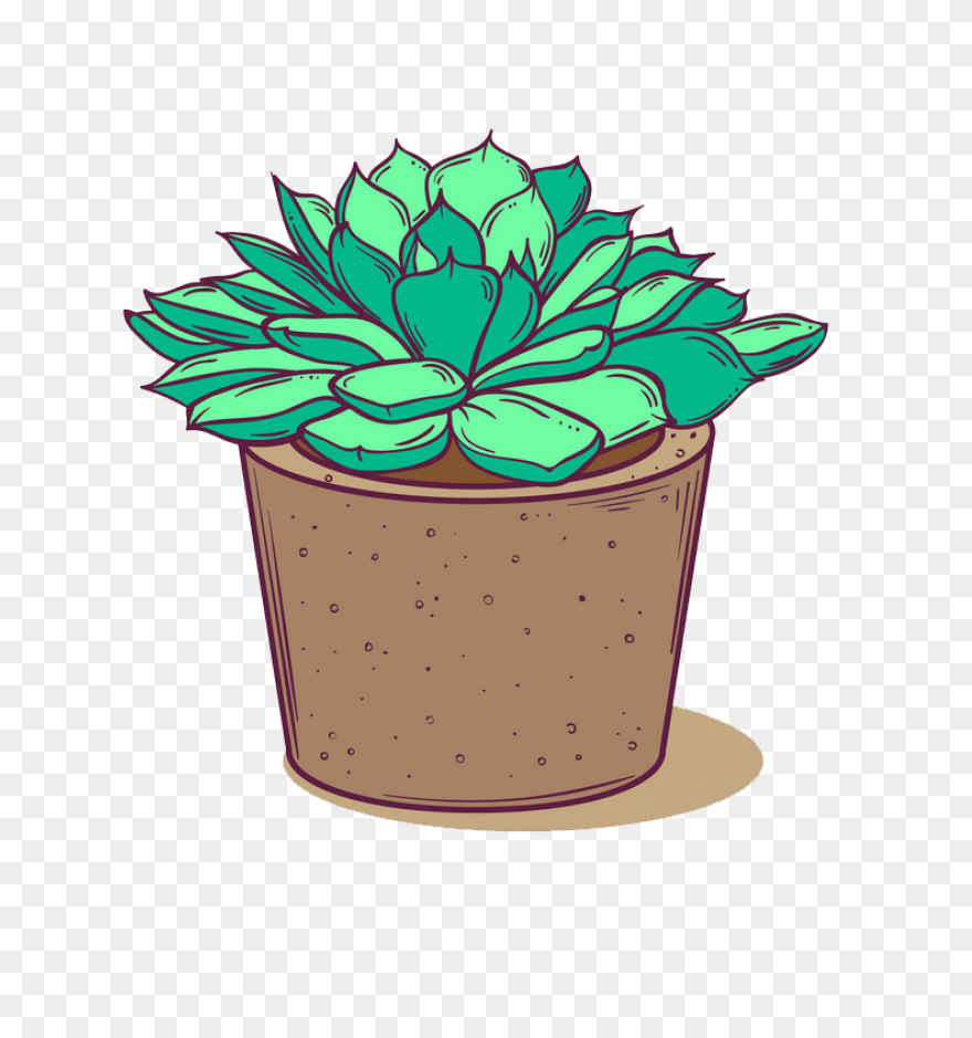 Succulents Green Plants Cute Free S