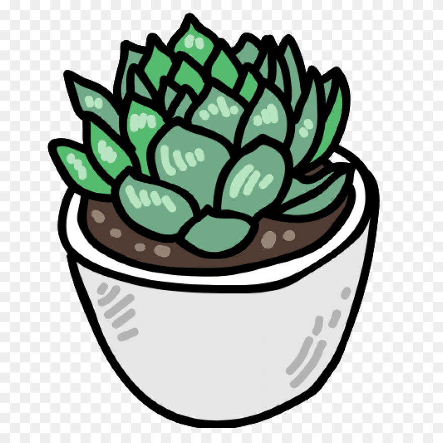 Succulents Green Plants Cute Free S