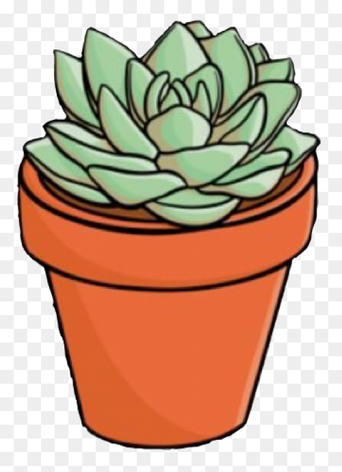 Succulents Green Plants Cute Free S