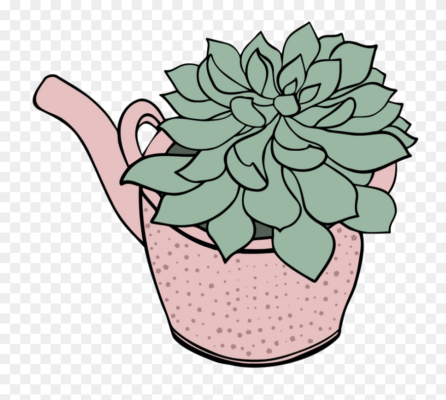 Succulents Green Plants Cute Free S