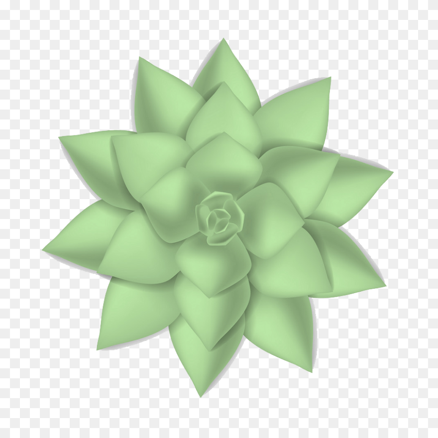 Succulents Green Plants Cute Free S