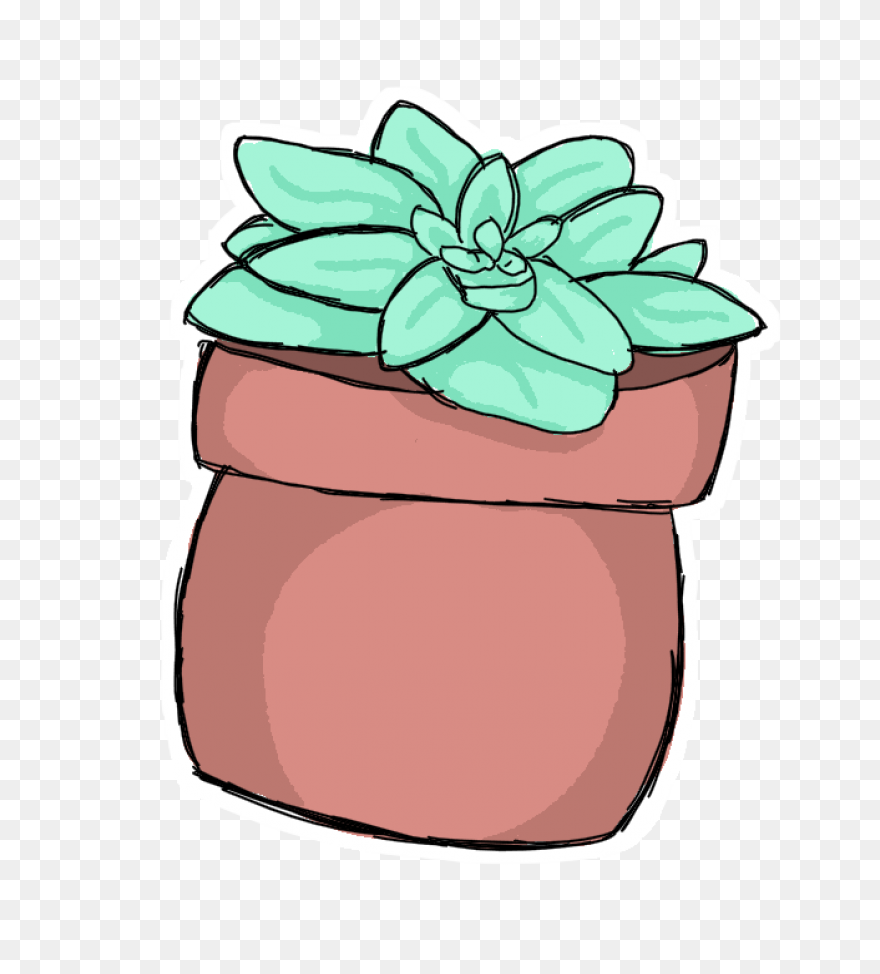 Succulents Green Plants Cute Free S