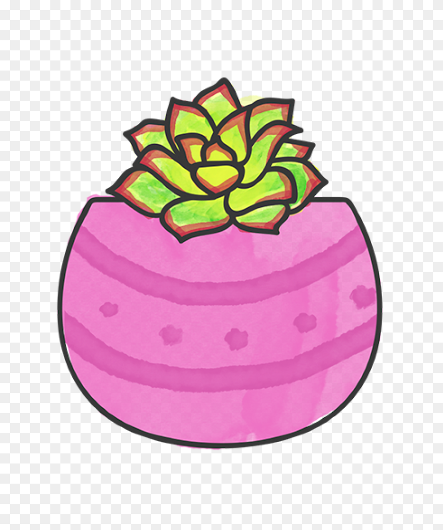 Succulents Green Plants Cute Free S